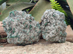 Natural Emerald Mica 'Mutokolite' Cobbed Specimens x 2 From Mutoko, Zimbabwe - Toprock Gemstones and Minerals 