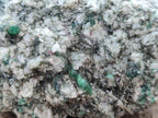 Natural Emerald Mica 'Mutokolite' Cobbed Specimens x 2 From Mutoko, Zimbabwe - Toprock Gemstones and Minerals 