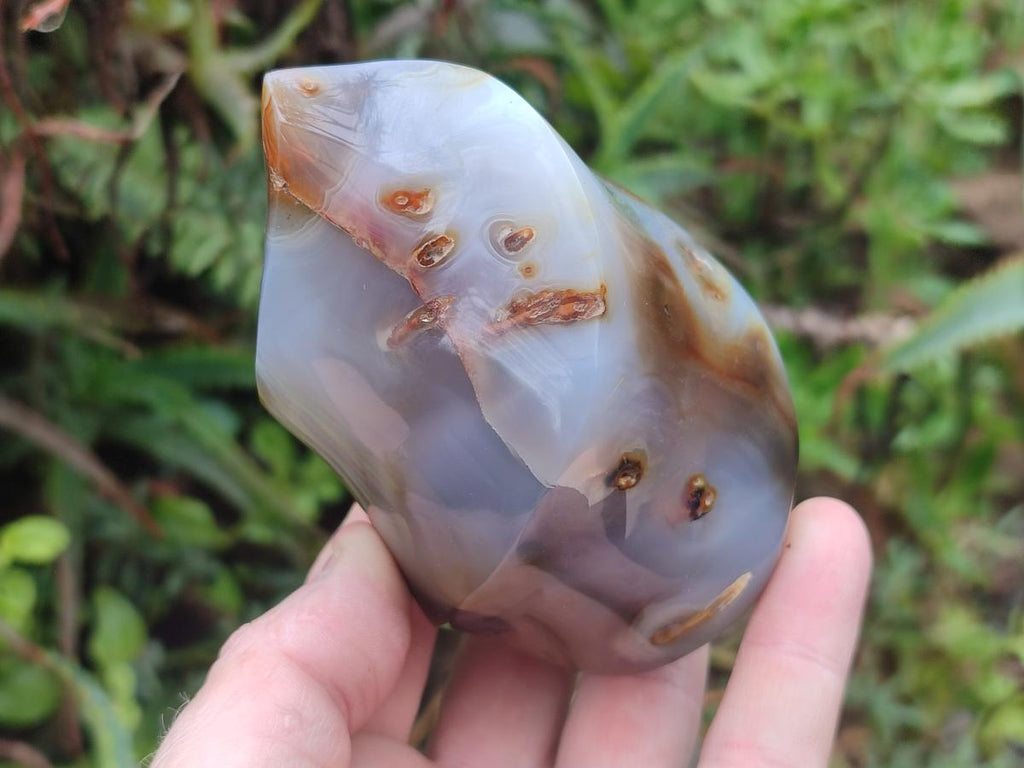 Polished and Natural Mix of Banded Agate Pieces x 6 From Madagascar - Toprock Gemstones and Minerals 