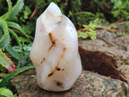 Polished and Natural Mix of Banded Agate Pieces x 6 From Madagascar - Toprock Gemstones and Minerals 