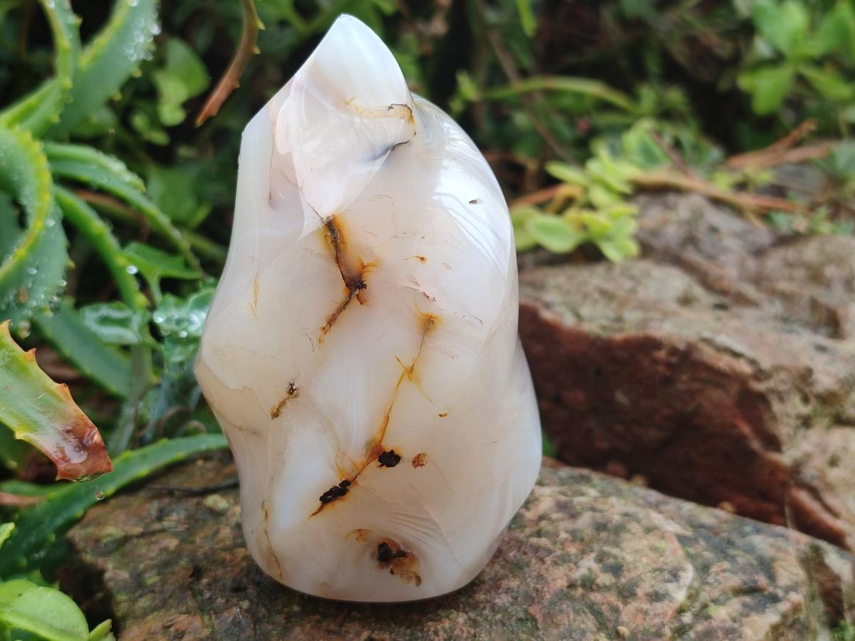 Polished and Natural Mix of Banded Agate Pieces x 6 From Madagascar - Toprock Gemstones and Minerals 