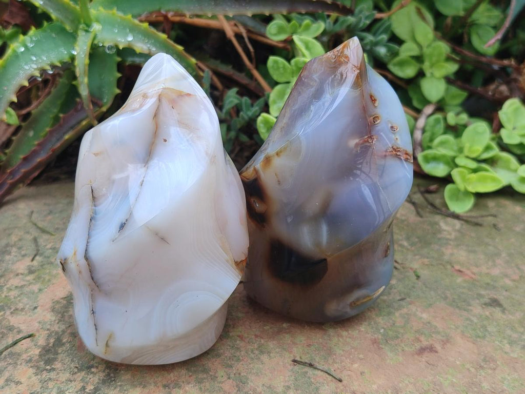 Polished and Natural Mix of Banded Agate Pieces x 6 From Madagascar - Toprock Gemstones and Minerals 