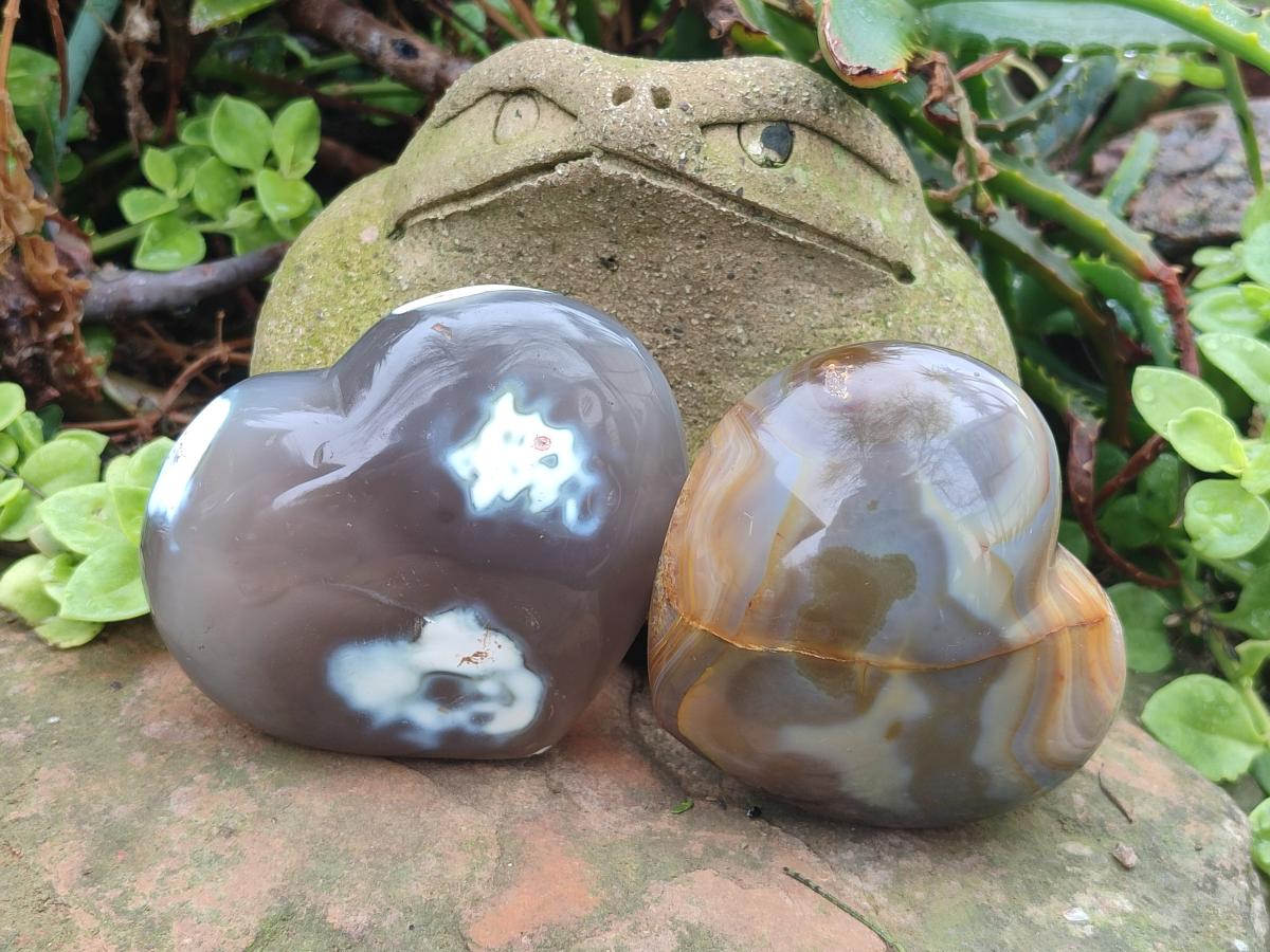 Polished and Natural Mix of Banded Agate Pieces x 6 From Madagascar - Toprock Gemstones and Minerals 