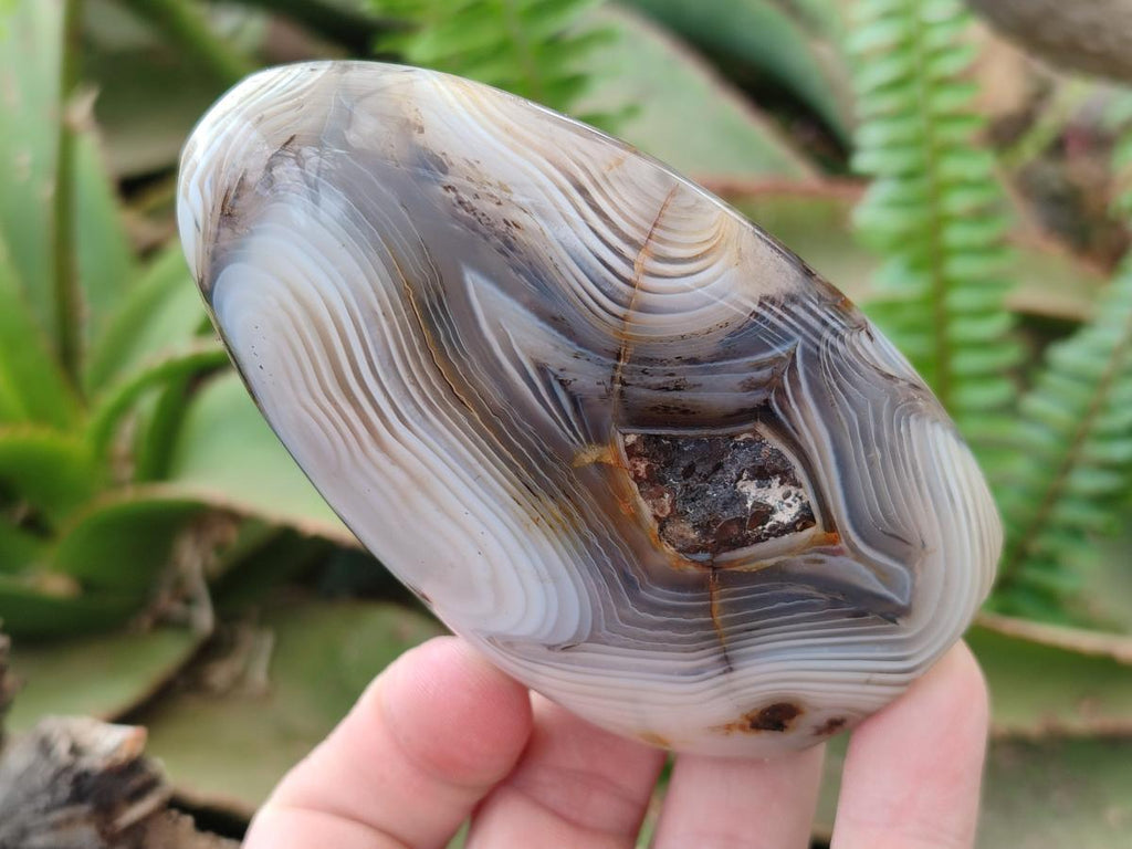 Polished and Natural Mix of Banded Agate Pieces x 6 From Madagascar - Toprock Gemstones and Minerals 