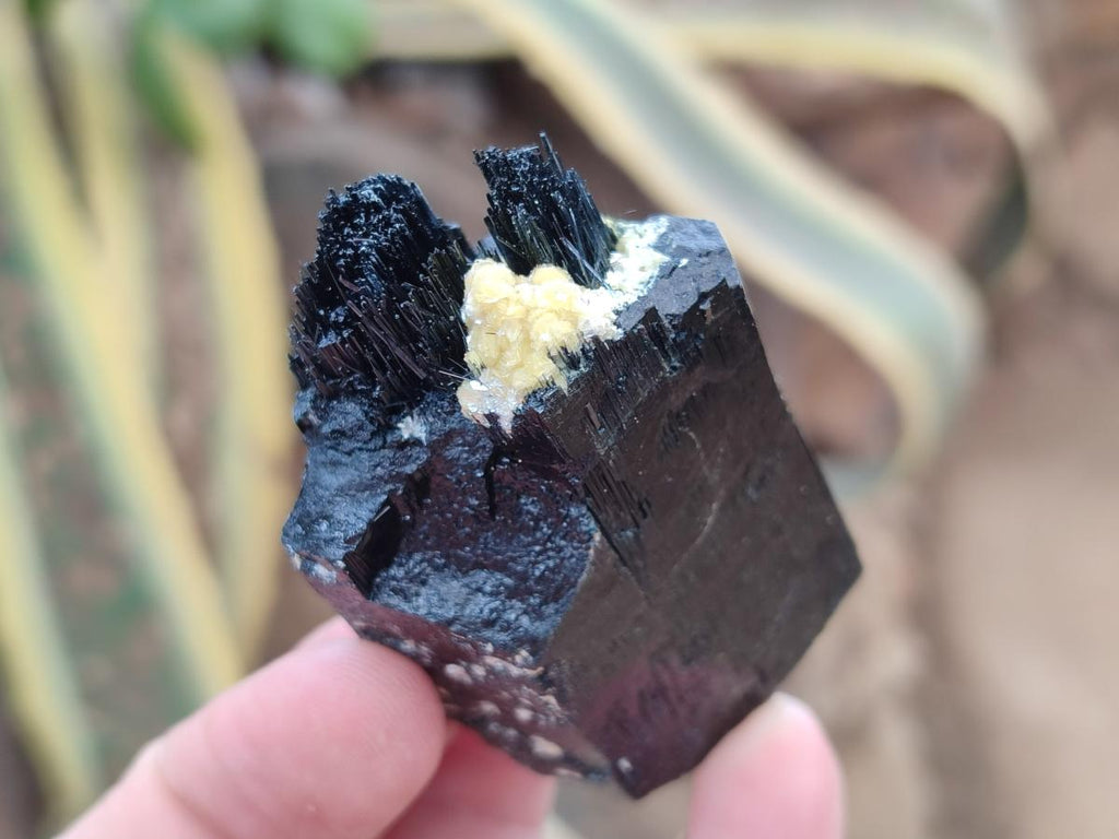 Natural Schorl Black Tourmaline Crystal Specimens x 12 From Erongo, Namibia - Toprock Gemstones and Minerals 