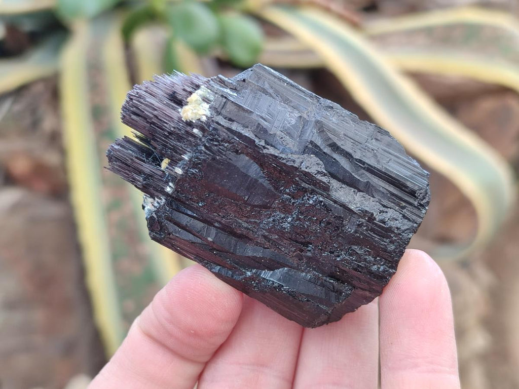 Natural Schorl Black Tourmaline Crystal Specimens x 12 From Erongo, Namibia - Toprock Gemstones and Minerals 