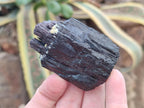 Natural Schorl Black Tourmaline Crystal Specimens x 12 From Erongo, Namibia - Toprock Gemstones and Minerals 