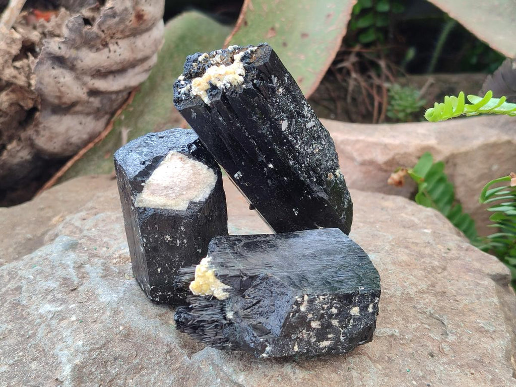 Natural Schorl Black Tourmaline Crystal Specimens x 12 From Erongo, Namibia - Toprock Gemstones and Minerals 