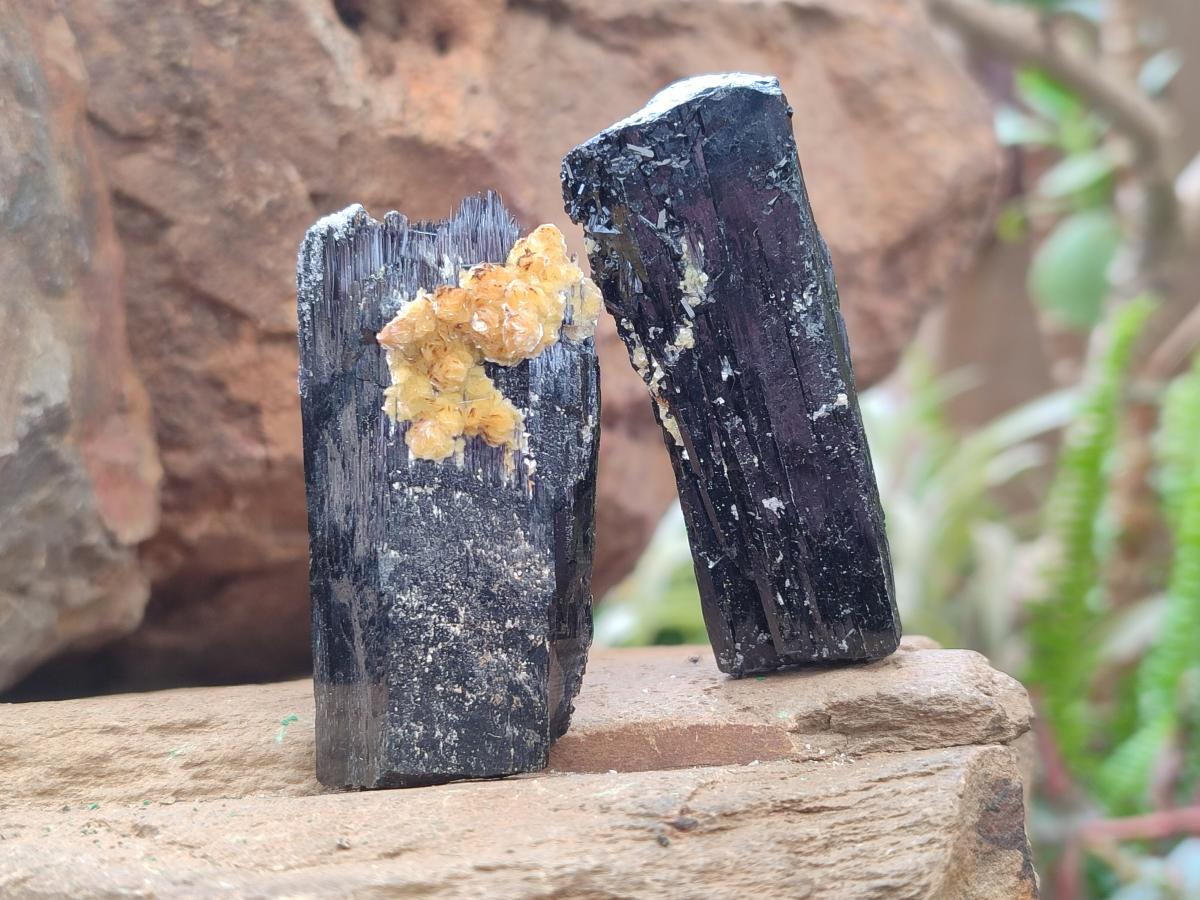 Natural Schorl Black Tourmaline Crystal Specimens x 12 From Erongo, Namibia - Toprock Gemstones and Minerals 