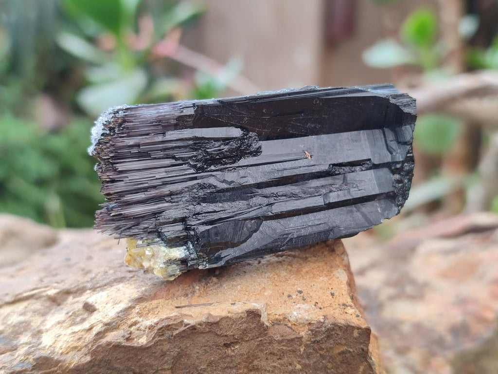 Natural Schorl Black Tourmaline Crystal Specimens x 12 From Erongo, Namibia - Toprock Gemstones and Minerals 