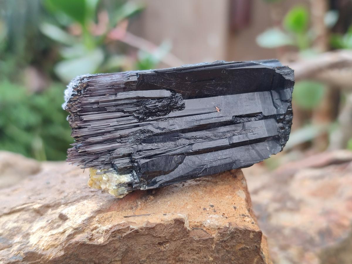 Natural Schorl Black Tourmaline Crystal Specimens x 12 From Erongo, Namibia - Toprock Gemstones and Minerals 