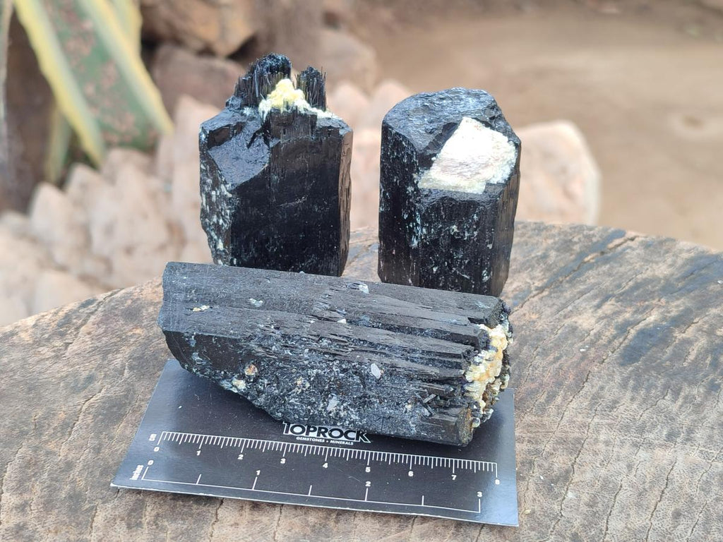 Natural Schorl Black Tourmaline Crystal Specimens x 12 From Erongo, Namibia - Toprock Gemstones and Minerals 