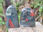 Polished Bloodstone Standing Display Pieces x 2 From Swaziland - Toprock Gemstones and Minerals 