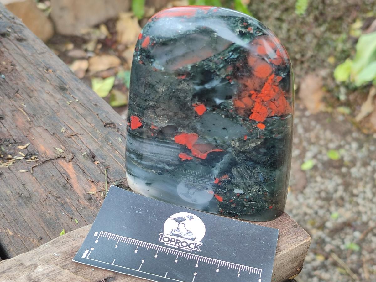 Polished Bloodstone Standing Display Pieces x 2 From Swaziland - Toprock Gemstones and Minerals 
