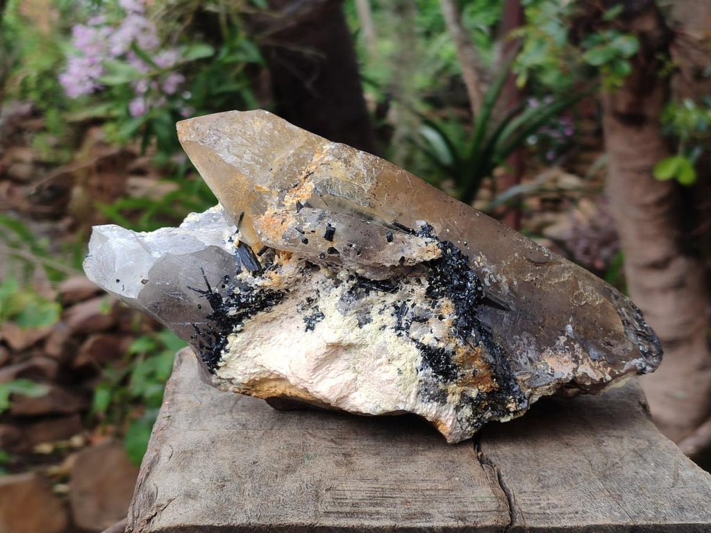 Natural Large Smokey Quartz Crystal x 1 From Erongo, Namibia - Toprock Gemstones and Minerals 