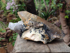 Natural Large Smokey Quartz Crystal x 1 From Erongo, Namibia - Toprock Gemstones and Minerals 