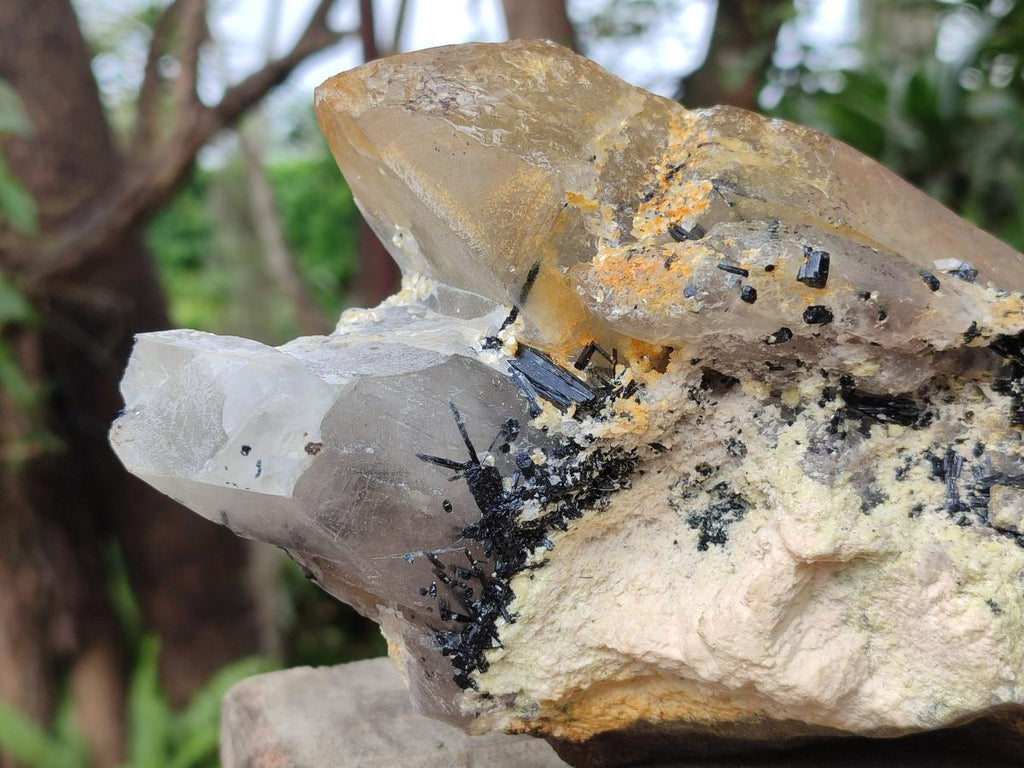 Natural Large Smokey Quartz Crystal x 1 From Erongo, Namibia - Toprock Gemstones and Minerals 