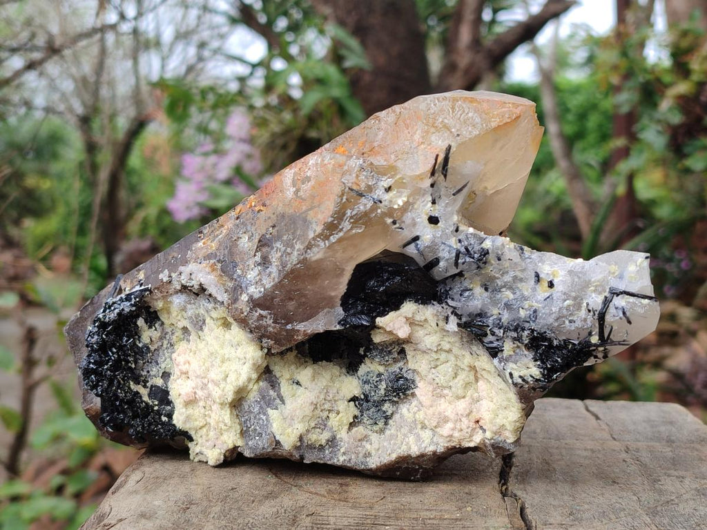 Natural Large Smokey Quartz Crystal x 1 From Erongo, Namibia - Toprock Gemstones and Minerals 