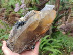 Natural Large Smokey Quartz Crystal x 1 From Erongo, Namibia - Toprock Gemstones and Minerals 