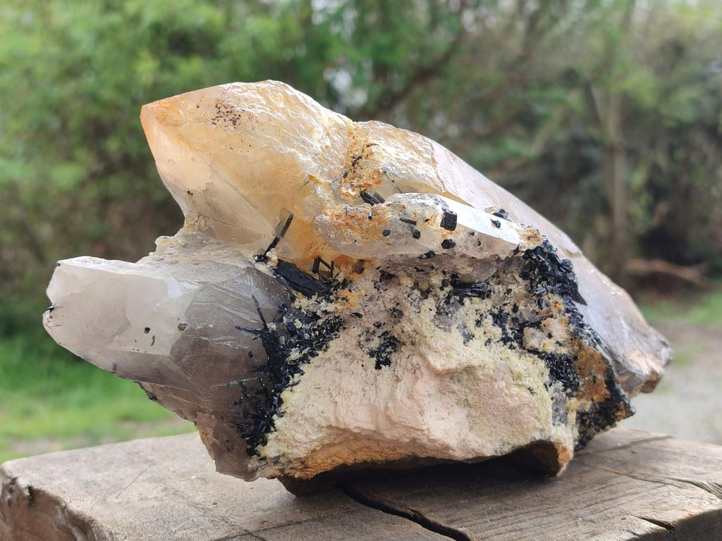 Natural Large Smokey Quartz Crystal x 1 From Erongo, Namibia - Toprock Gemstones and Minerals 