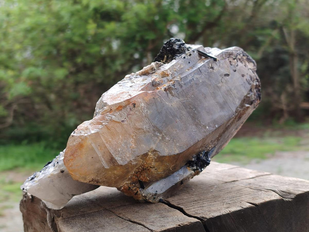 Natural Large Smokey Quartz Crystal x 1 From Erongo, Namibia - Toprock Gemstones and Minerals 