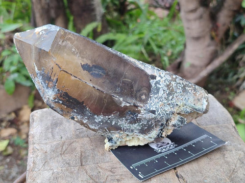 Natural Smokey Quartz Crystals with Associated Minerals x 3 From Erongo, Namibia - Toprock Gemstones and Minerals 