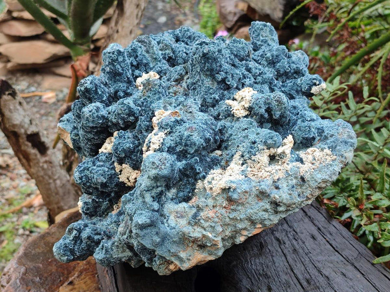 Natural XL Museum Fibrous Stalagmitic Foitite Specimen with Feldspar x 1 From Erongo, Namibia - Toprock Gemstones and Minerals 