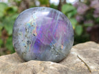 Polished Rare Purple Sunset Flash Labradorite Palm Stones x 12 From Madagascar - Toprock Gemstones and Minerals 