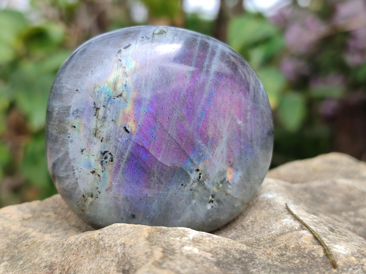 Polished Rare Purple Sunset Flash Labradorite Palm Stones x 12 From Madagascar - Toprock Gemstones and Minerals 