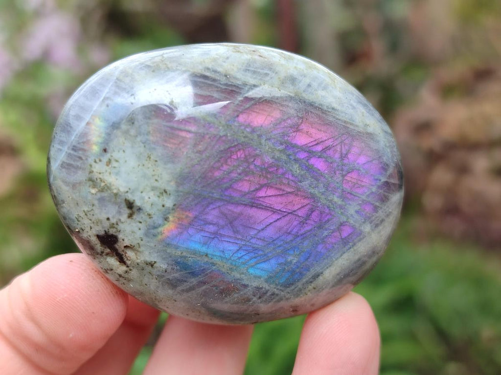 Polished Rare Purple Sunset Flash Labradorite Palm Stones x 12 From Madagascar - Toprock Gemstones and Minerals 