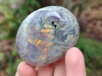Polished Rare Purple Sunset Flash Labradorite Palm Stones x 12 From Madagascar - Toprock Gemstones and Minerals 