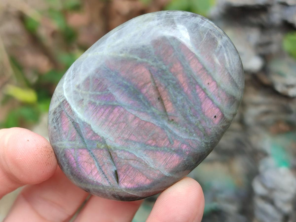 Polished Rare Purple Sunset Flash Labradorite Palm Stones x 12 From Madagascar - Toprock Gemstones and Minerals 