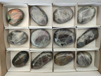 Polished Rare Purple Sunset Flash Labradorite Palm Stones x 12 From Madagascar - Toprock Gemstones and Minerals 