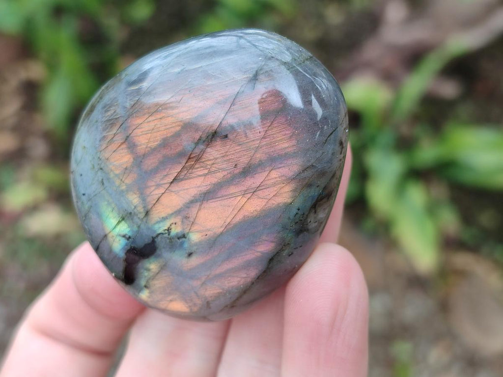 Polished Rare Purple Sunset Flash Labradorite Palm Stones x 12 From Madagascar - Toprock Gemstones and Minerals 