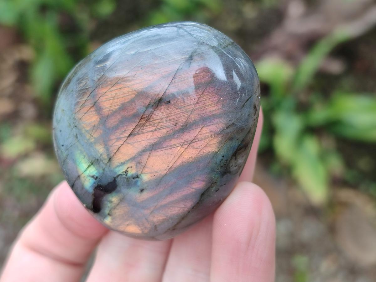 Polished Rare Purple Sunset Flash Labradorite Palm Stones x 12 From Madagascar - Toprock Gemstones and Minerals 