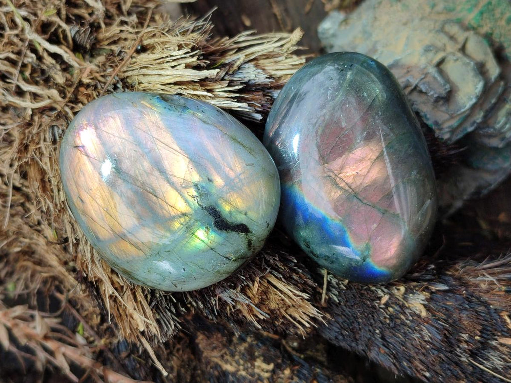 Polished Rare Purple Sunset Flash Labradorite Palm Stones x 12 From Madagascar - Toprock Gemstones and Minerals 
