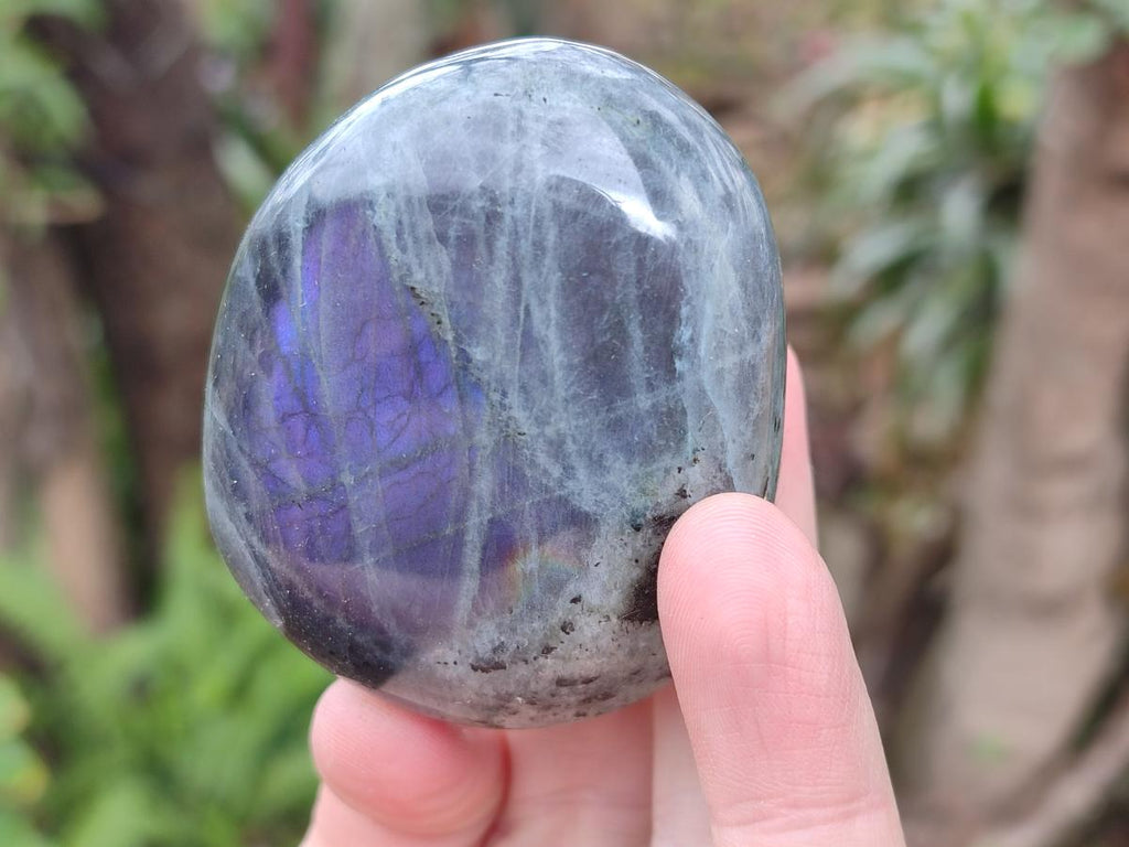 Polished Rare Purple Sunset Flash Labradorite Palm Stones x 12 From Madagascar - Toprock Gemstones and Minerals 