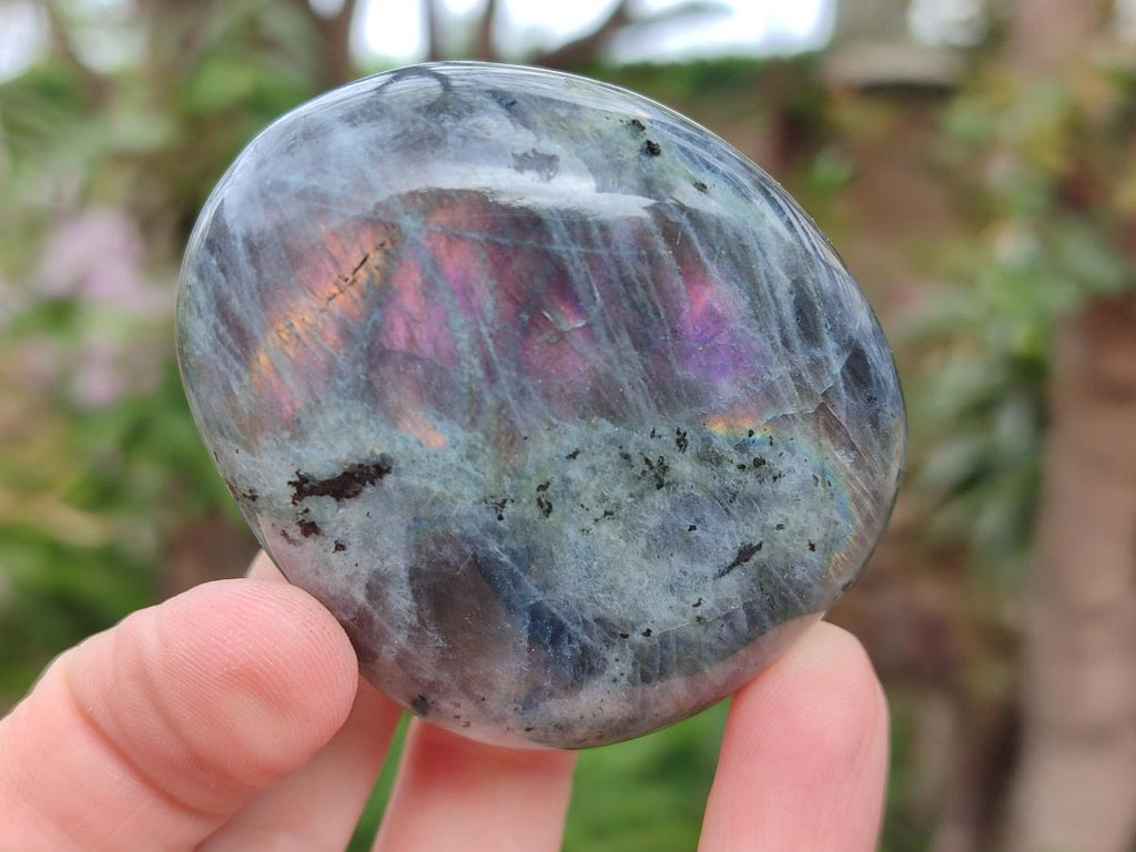 Polished Rare Purple Sunset Flash Labradorite Palm Stones x 12 From Madagascar - Toprock Gemstones and Minerals 