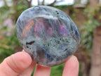 Polished Rare Purple Sunset Flash Labradorite Palm Stones x 12 From Madagascar - Toprock Gemstones and Minerals 