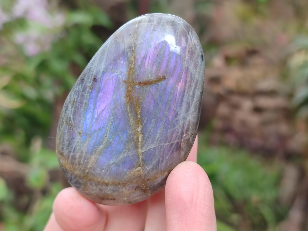 Polished Rare Purple Sunset Flash Labradorite Palm Stones x 12 From Madagascar - Toprock Gemstones and Minerals 