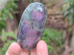 Polished Rare Purple Sunset Flash Labradorite Palm Stones x 12 From Madagascar - Toprock Gemstones and Minerals 