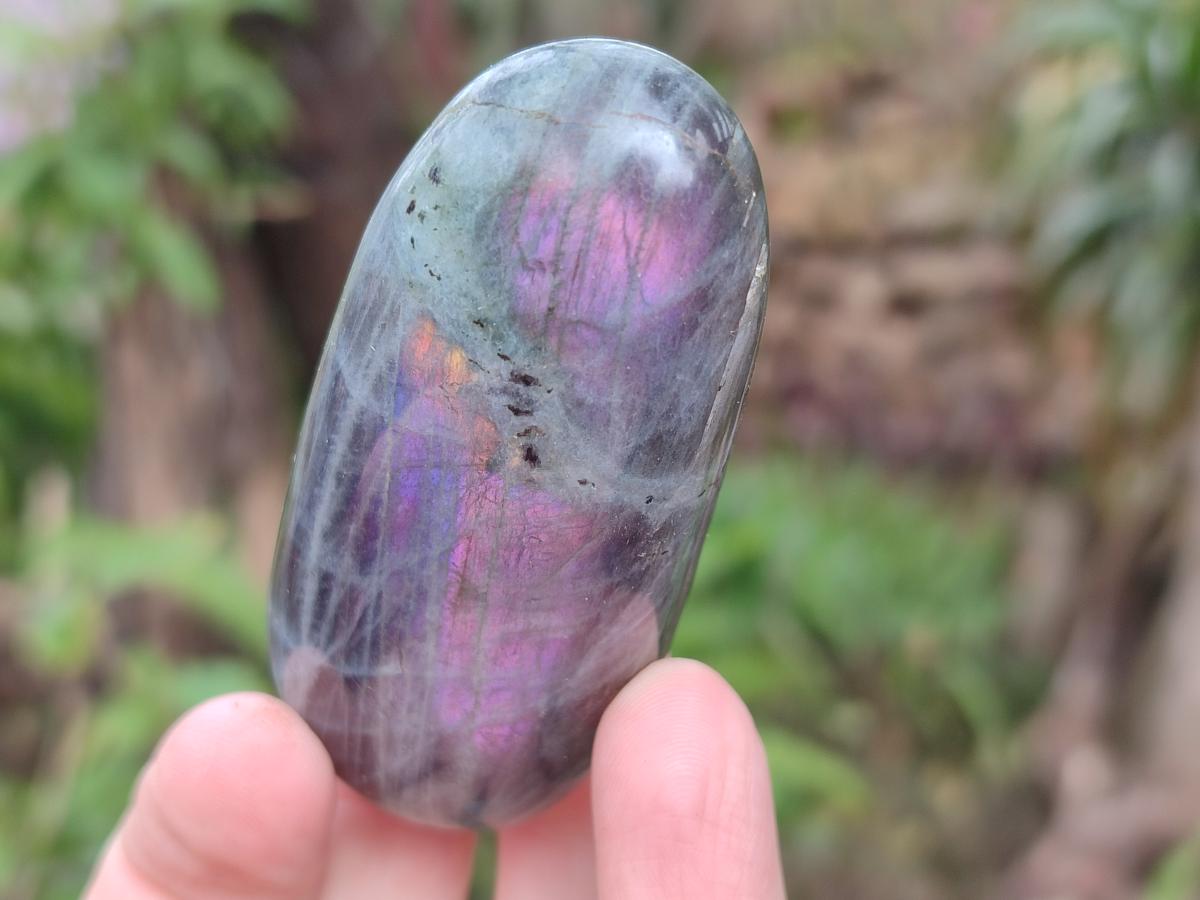 Polished Rare Purple Sunset Flash Labradorite Palm Stones x 12 From Madagascar - Toprock Gemstones and Minerals 