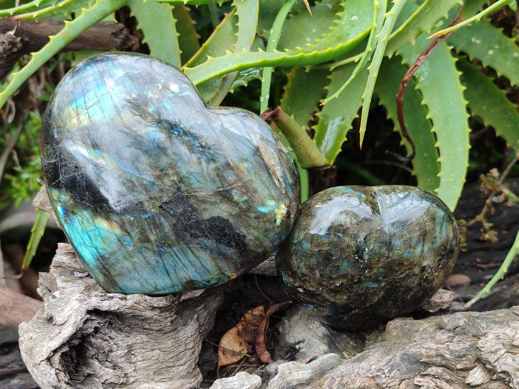 Polished Labradorite Hearts x 2 From Madagascar - Toprock Gemstones and Minerals 