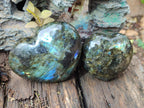Polished Labradorite Hearts x 2 From Madagascar - Toprock Gemstones and Minerals 