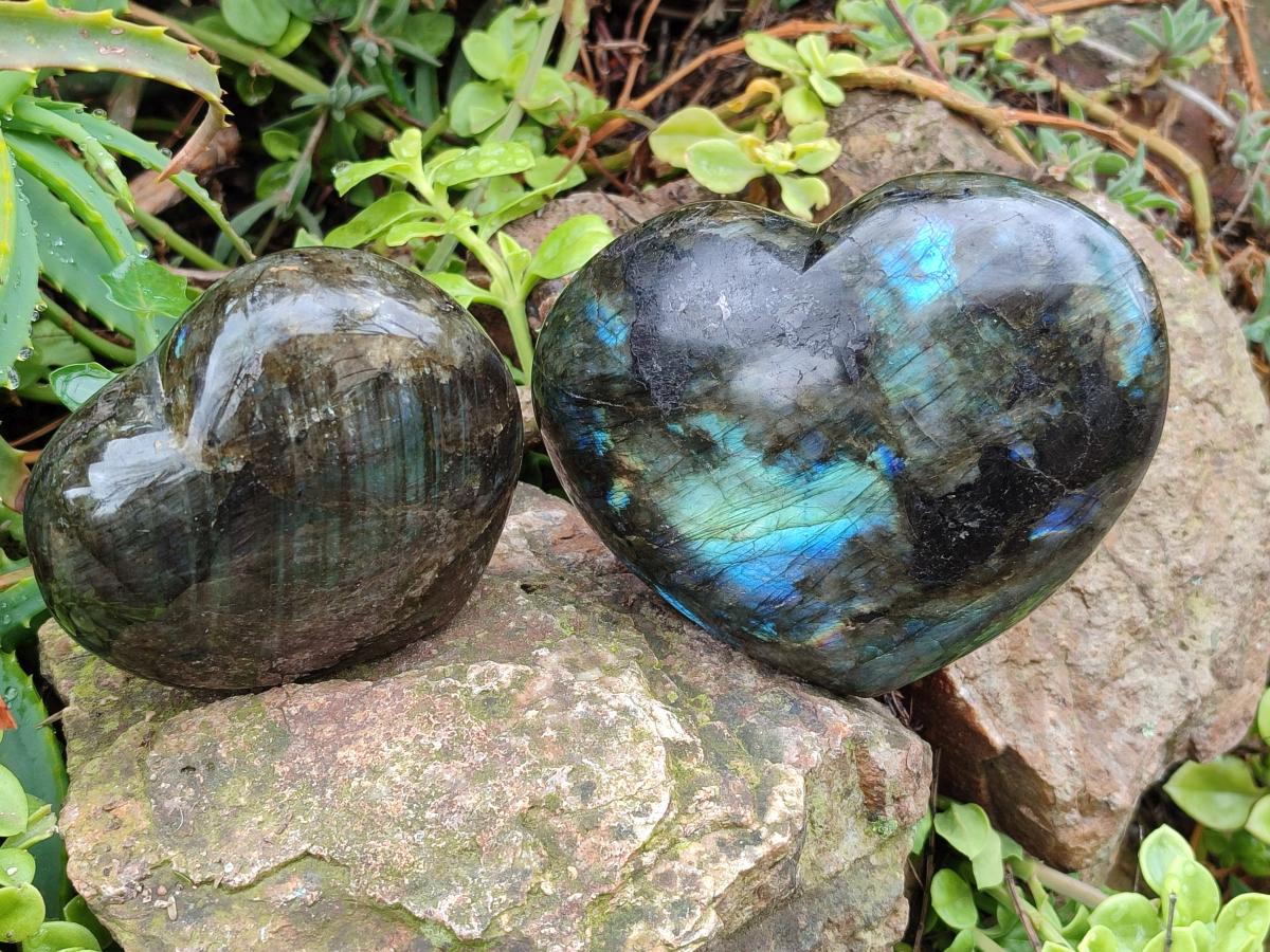 Polished Labradorite Hearts x 2 From Madagascar - Toprock Gemstones and Minerals 