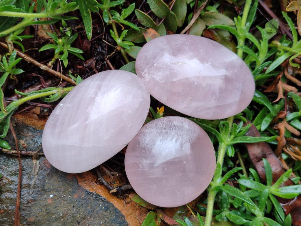 Polished Gemmy Rose Quartz Palm Stones x 12 From Madagascar - Toprock Gemstones and Minerals 