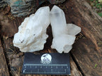 Natural Malagasy Quartz Clusters x 12 From Madagascar - Toprock Gemstones and Minerals 