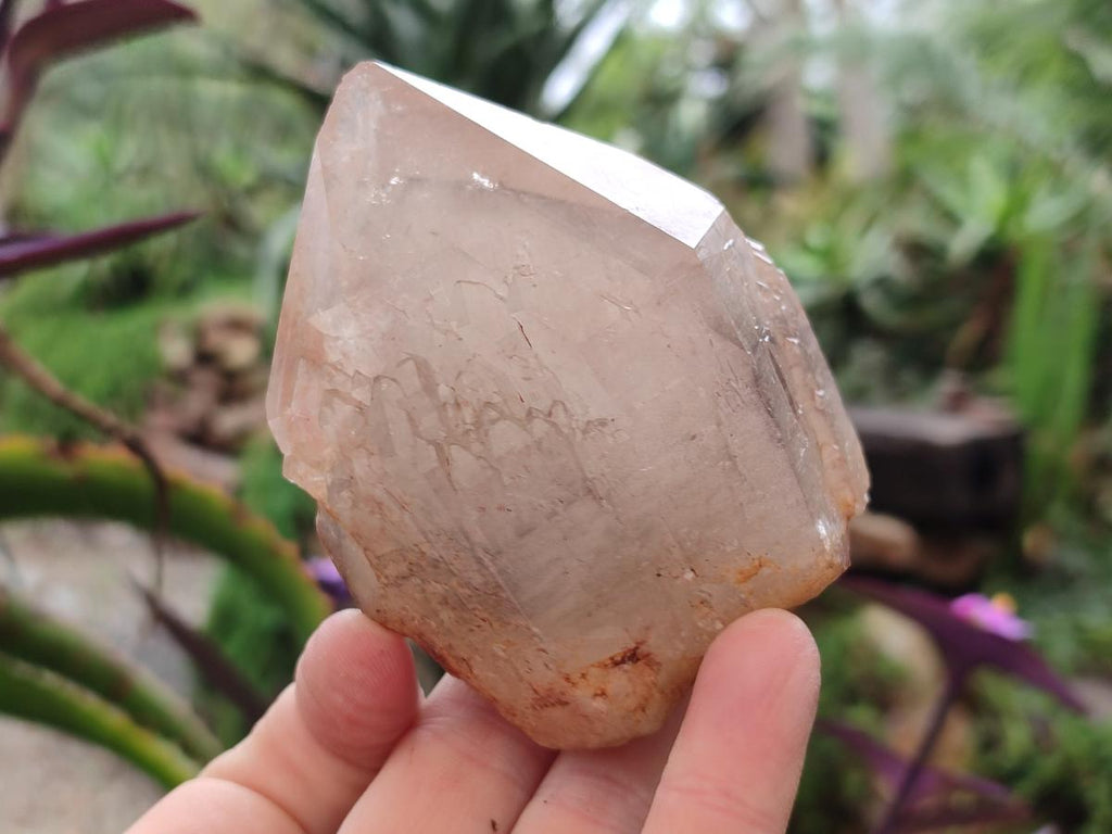 Natural Malagasy Quartz Clusters x 12 From Madagascar - Toprock Gemstones and Minerals 