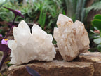 Natural Malagasy Quartz Clusters x 12 From Madagascar - Toprock Gemstones and Minerals 