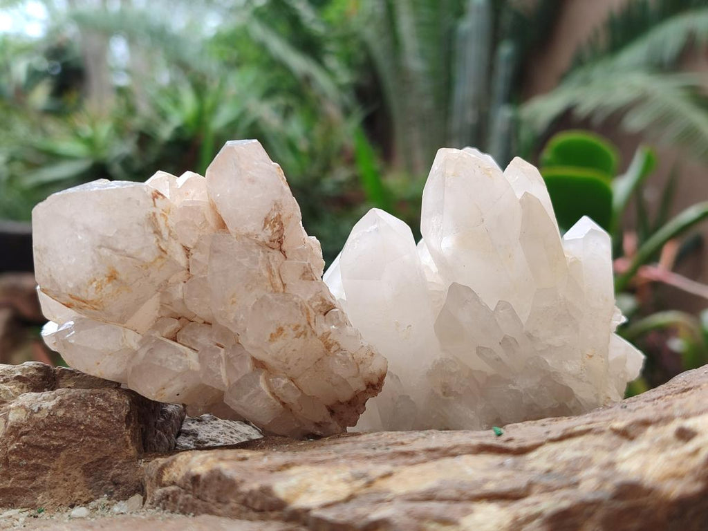 Natural Malagasy Quartz Clusters x 12 From Madagascar - Toprock Gemstones and Minerals 